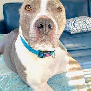 Meet your Posher, Christopher